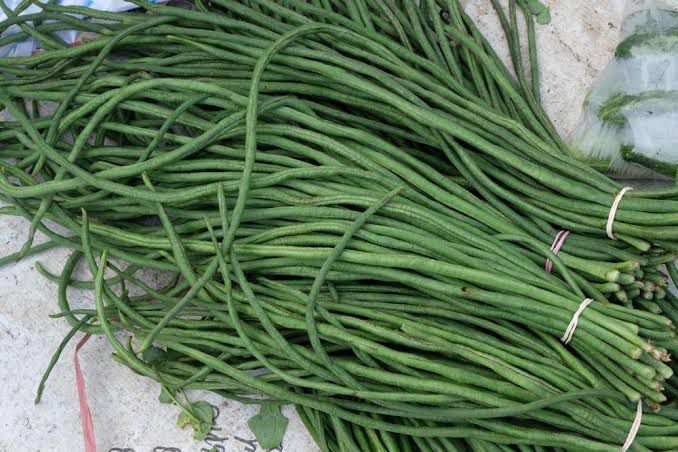 Kacang panjang