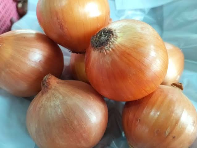 Bawang bombai