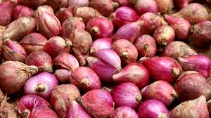 Bawang merah