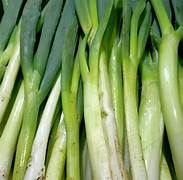 daun bawang