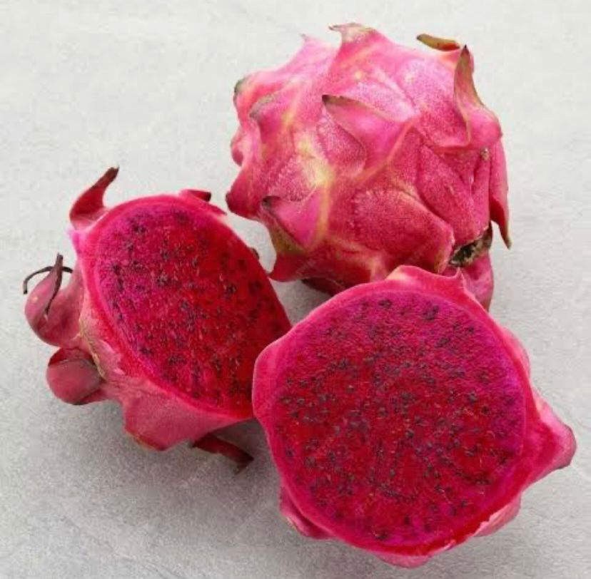 BUAH NAGA