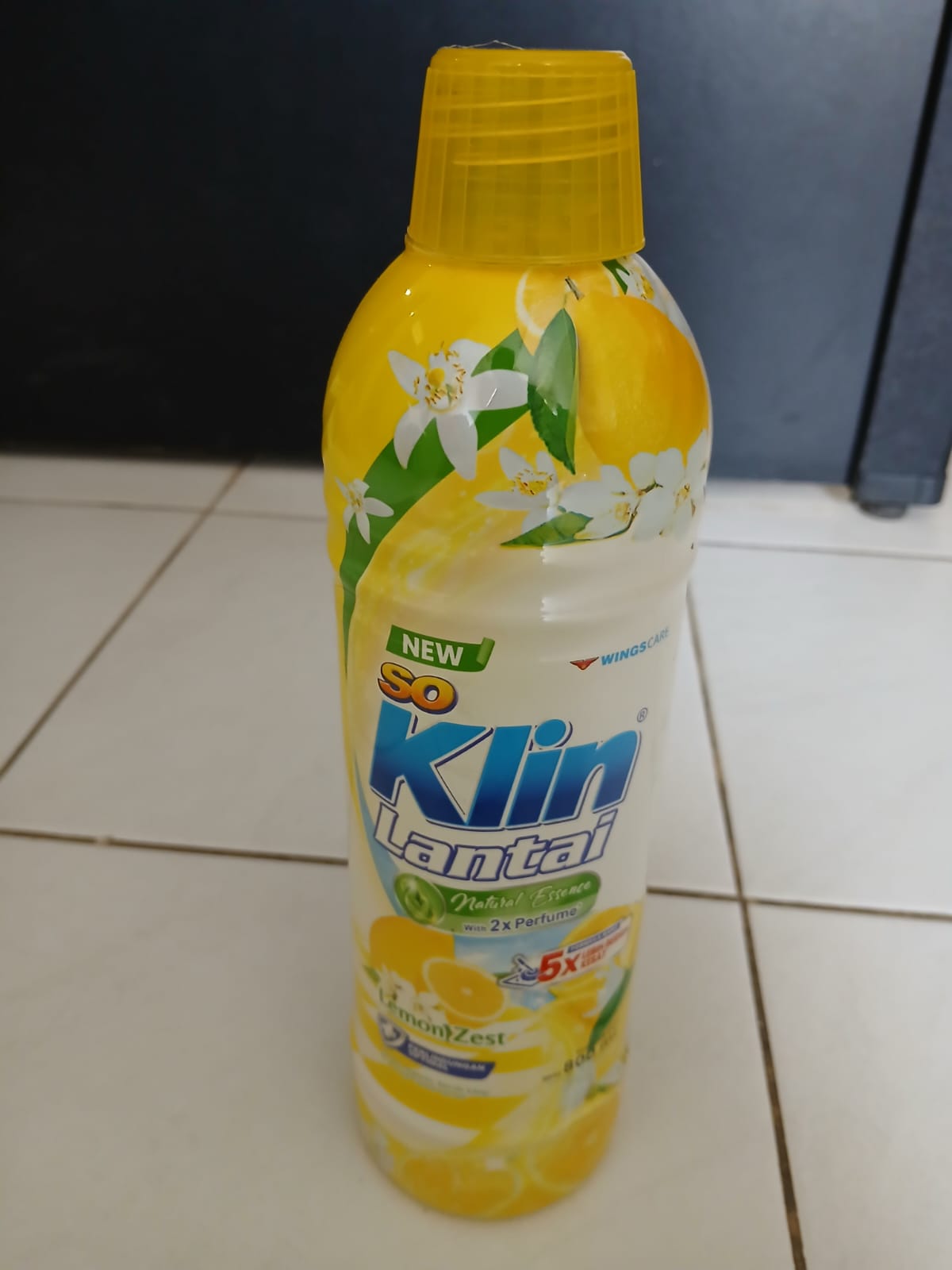 Pembersih lantai
