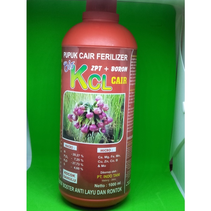 KCL CAIR