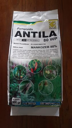 FUNGISIDA ANTILA 80 WP