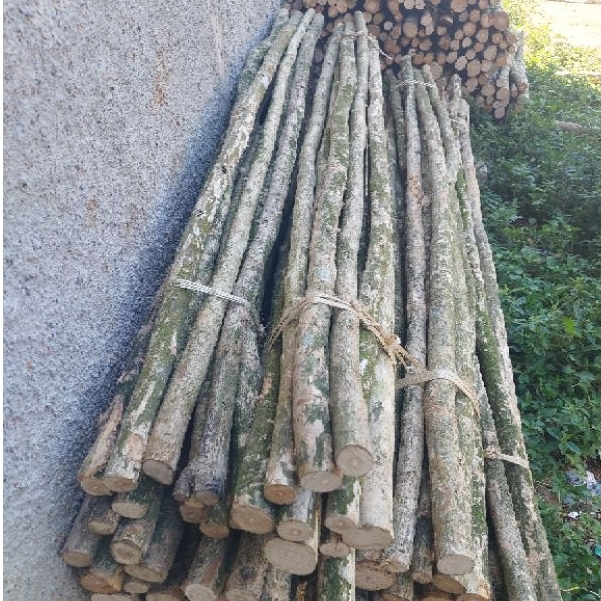 turus ajir bambu / kayu