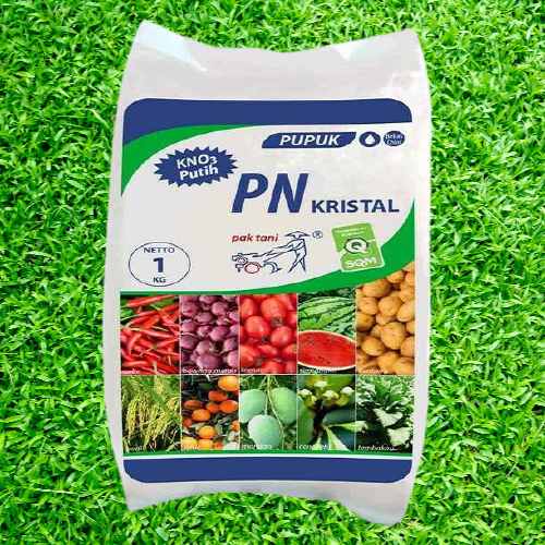 pupuk KNO3 putih