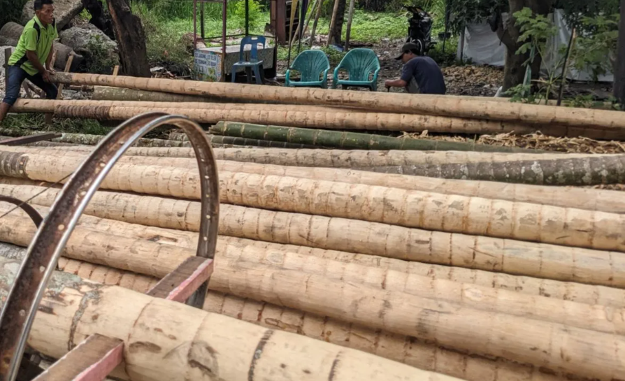 Pohon pinang lomba paket 17 agustus an