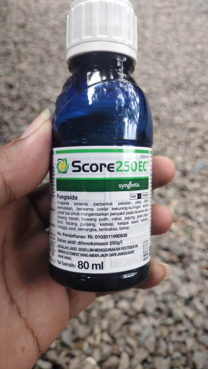 fungisida score 80 ml