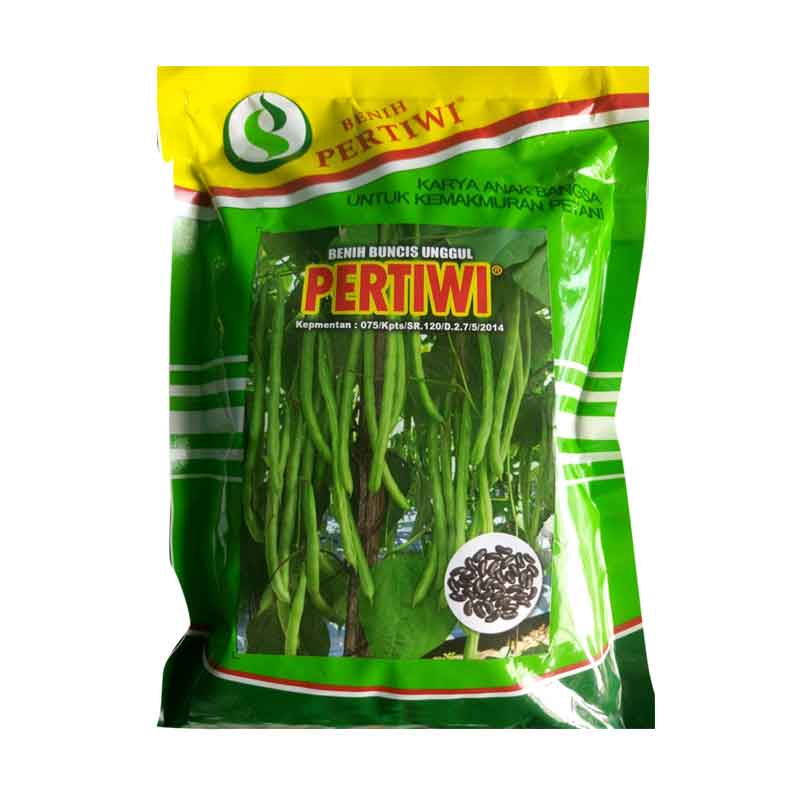 benih buncis pertiwi