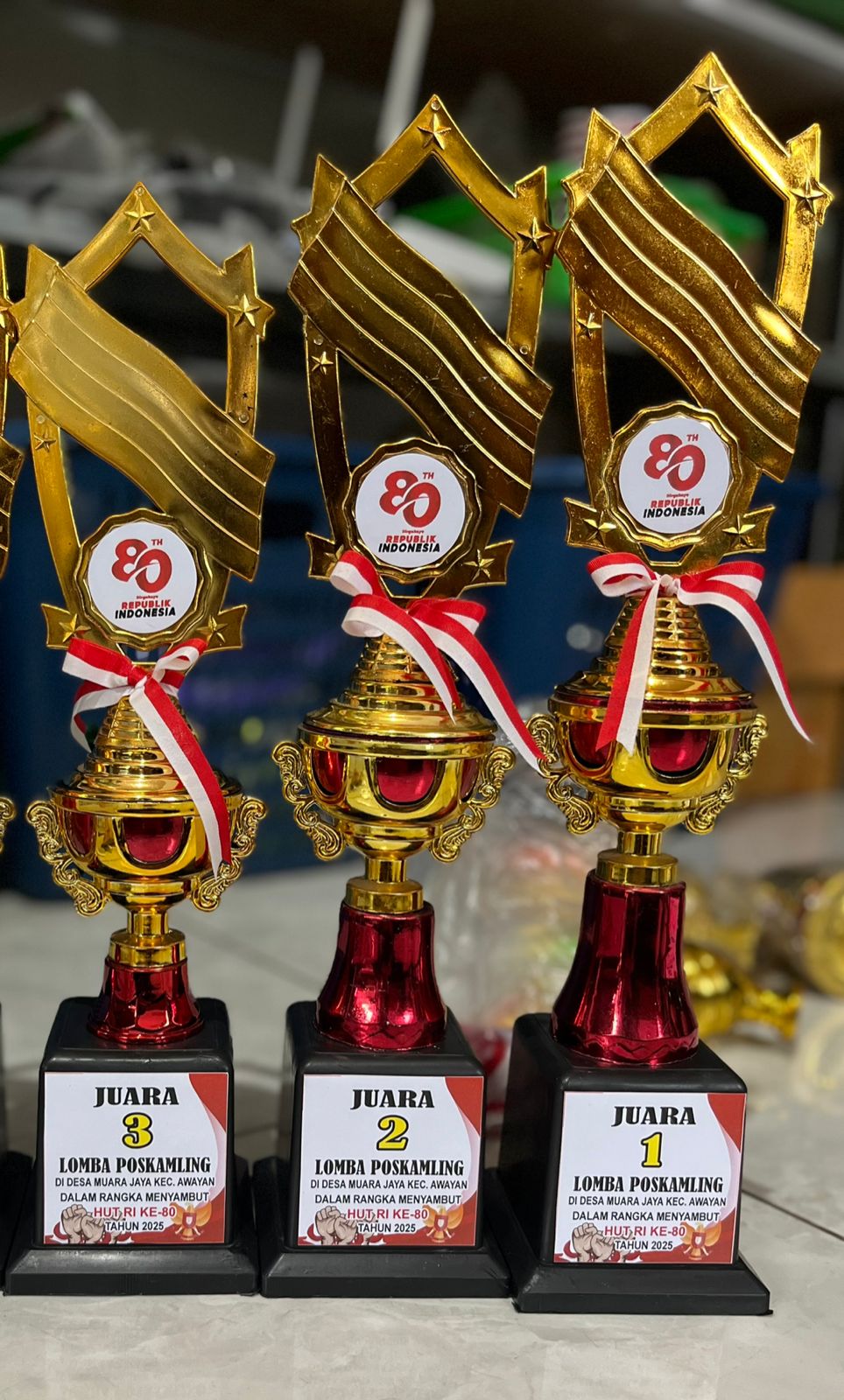 trophy 1 set 123