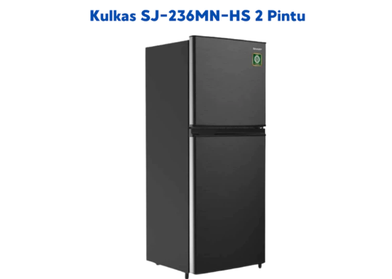 KULKAS 2 PINTU