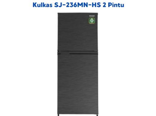 KULKAS 2 PINTU
