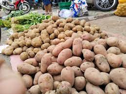 Kentang