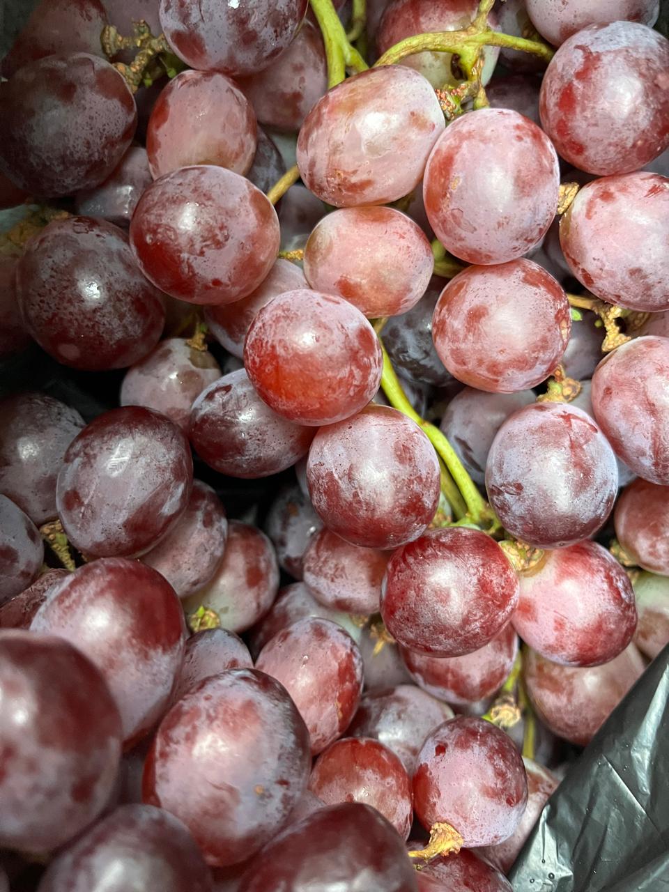 Anggur merah