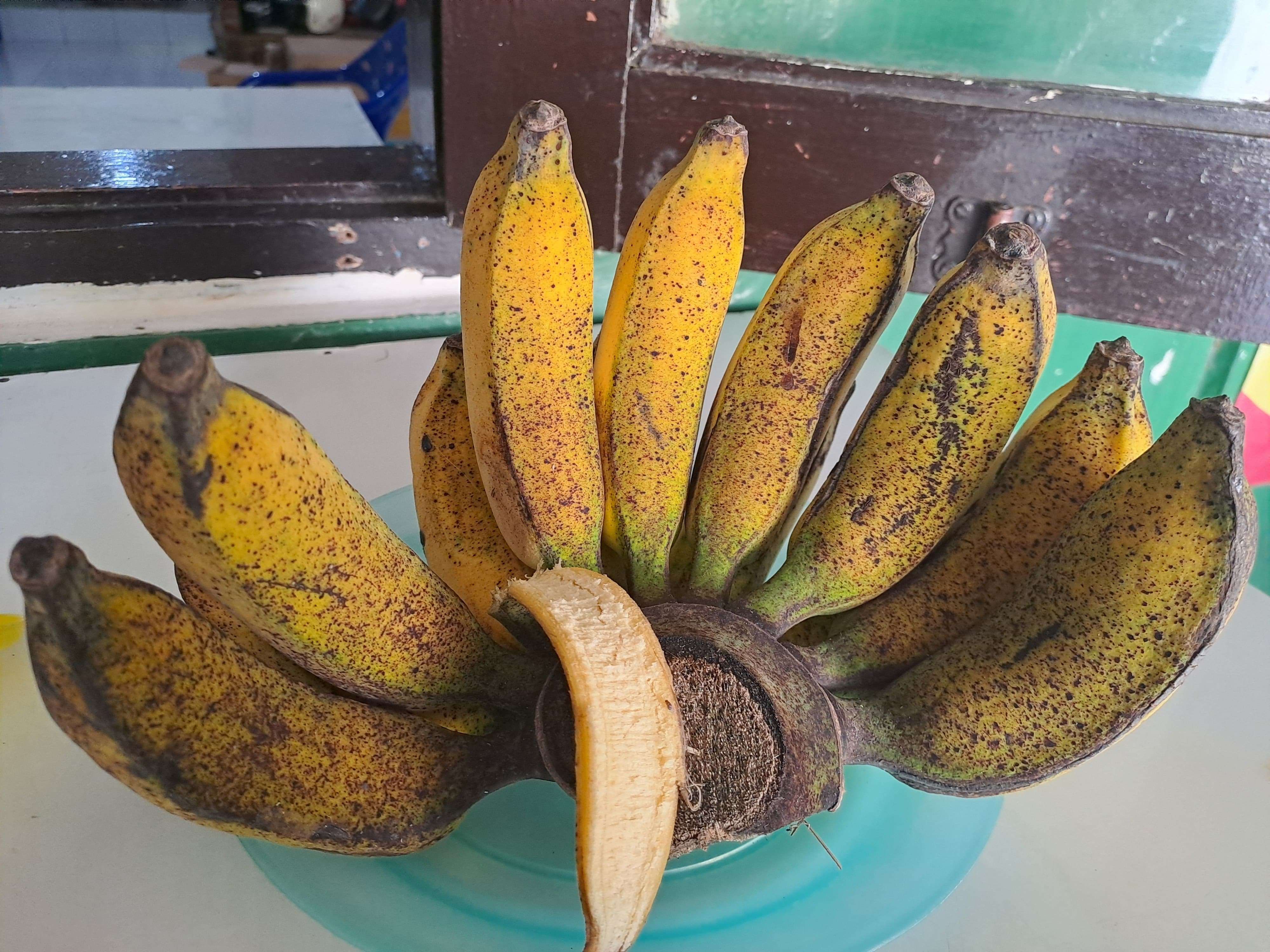 Pisang
