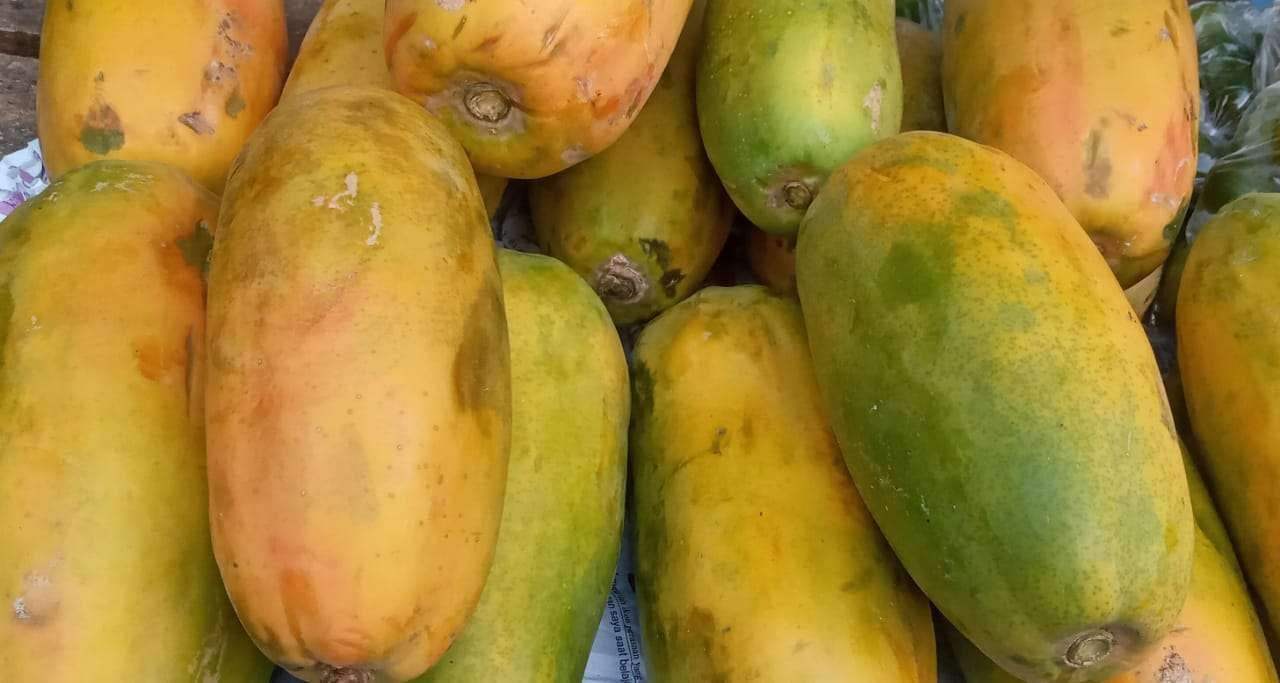 Pepaya