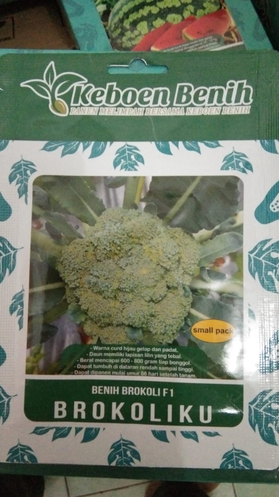 Benih Brokoli, Brokoli ku F1 small pack