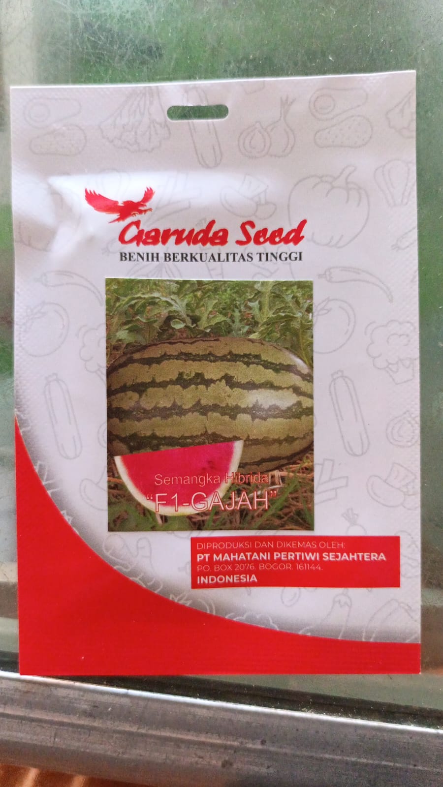 Benih Semangka F1 Gajah 