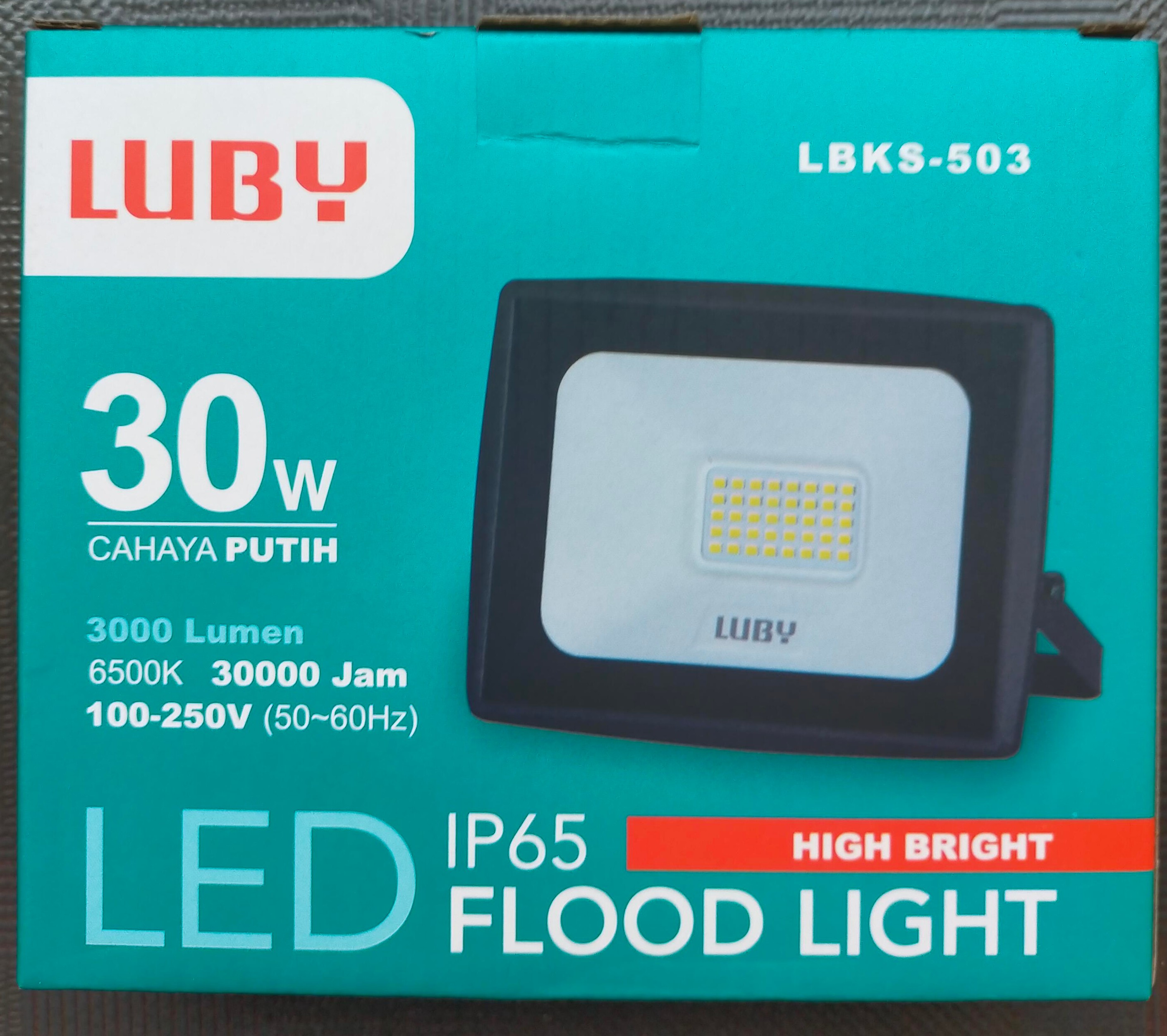 Lampu sorot 30 watt LUBY 503