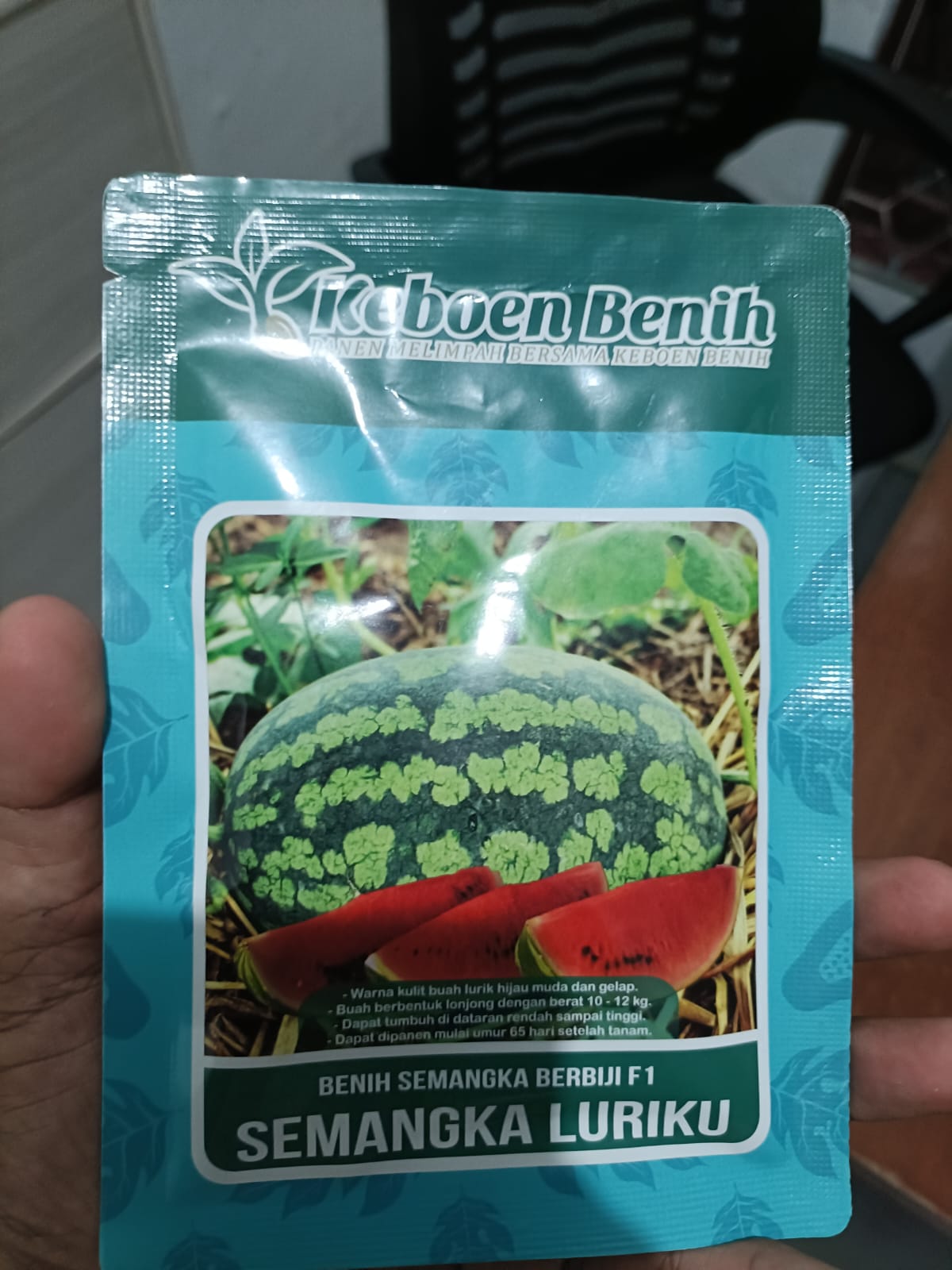 Benih semangka berbiji F1 