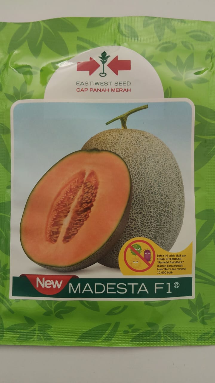Benih Melon Madesta F1