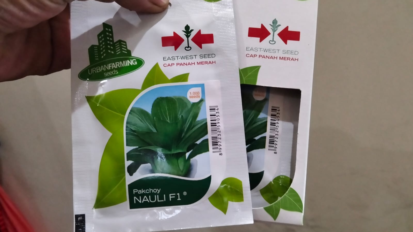 Benih Pakchoy Nauli F1