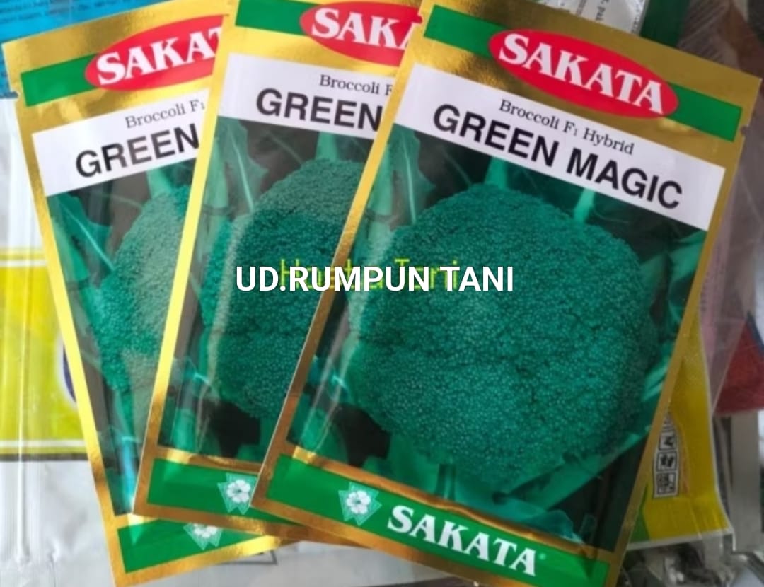 Benih /seed Broccoli F1 Hybrid