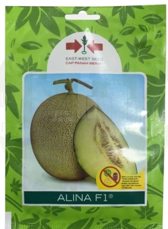 Benih Melon Alina F1 (40 butir)