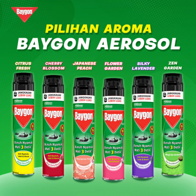 OBAT NYAMUK BAYGON AEROSOL 600ML