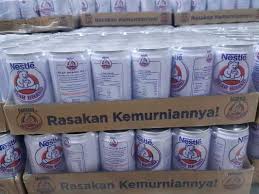 susu beruang