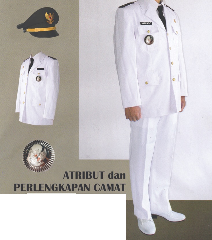 Pakaian Dinas Upacara (PDU)