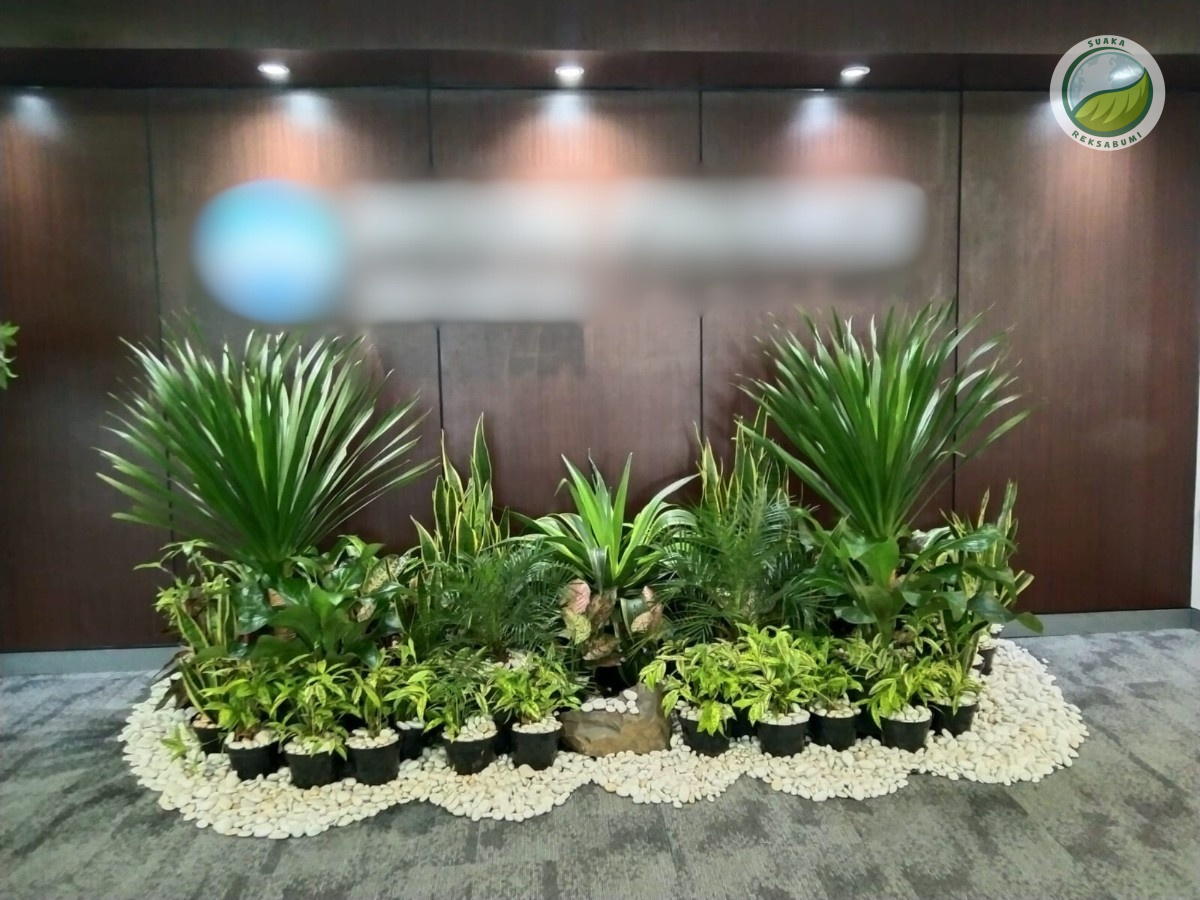 Dekorasi Aqiqah, Ulang Tahun, Acara Kantor, dsb