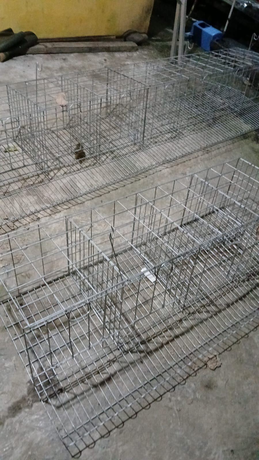  Kandang Baterai ayam petelor