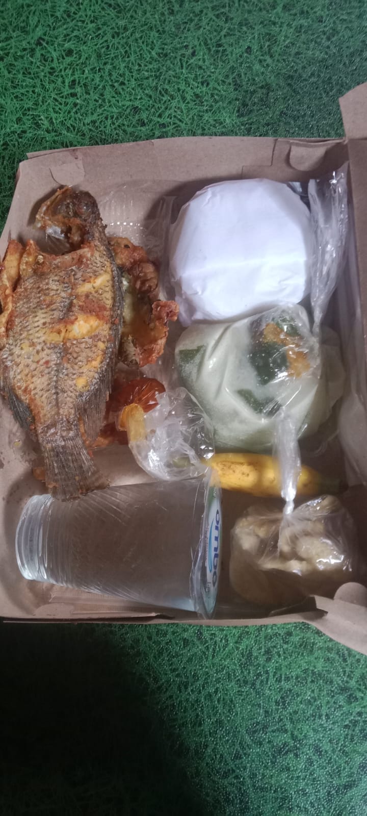 Nasi kotak ikan goreng