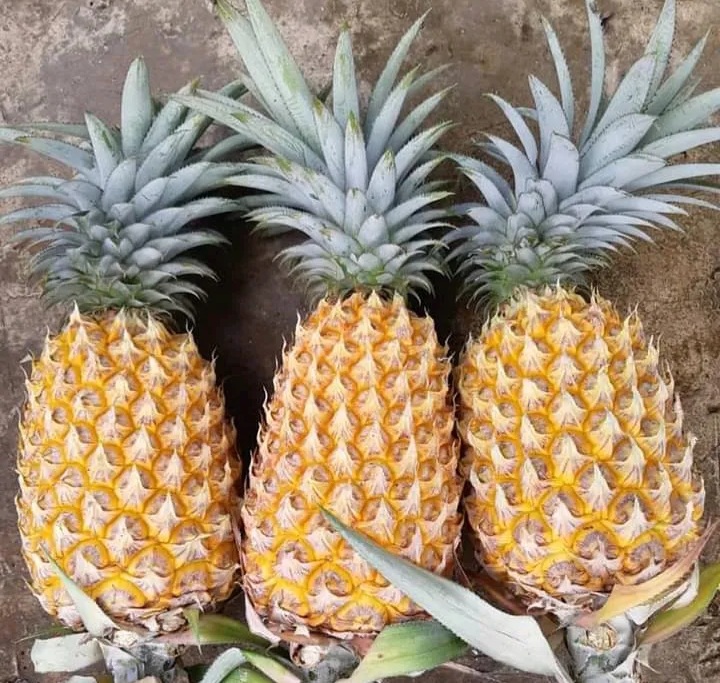 BUah Nenas