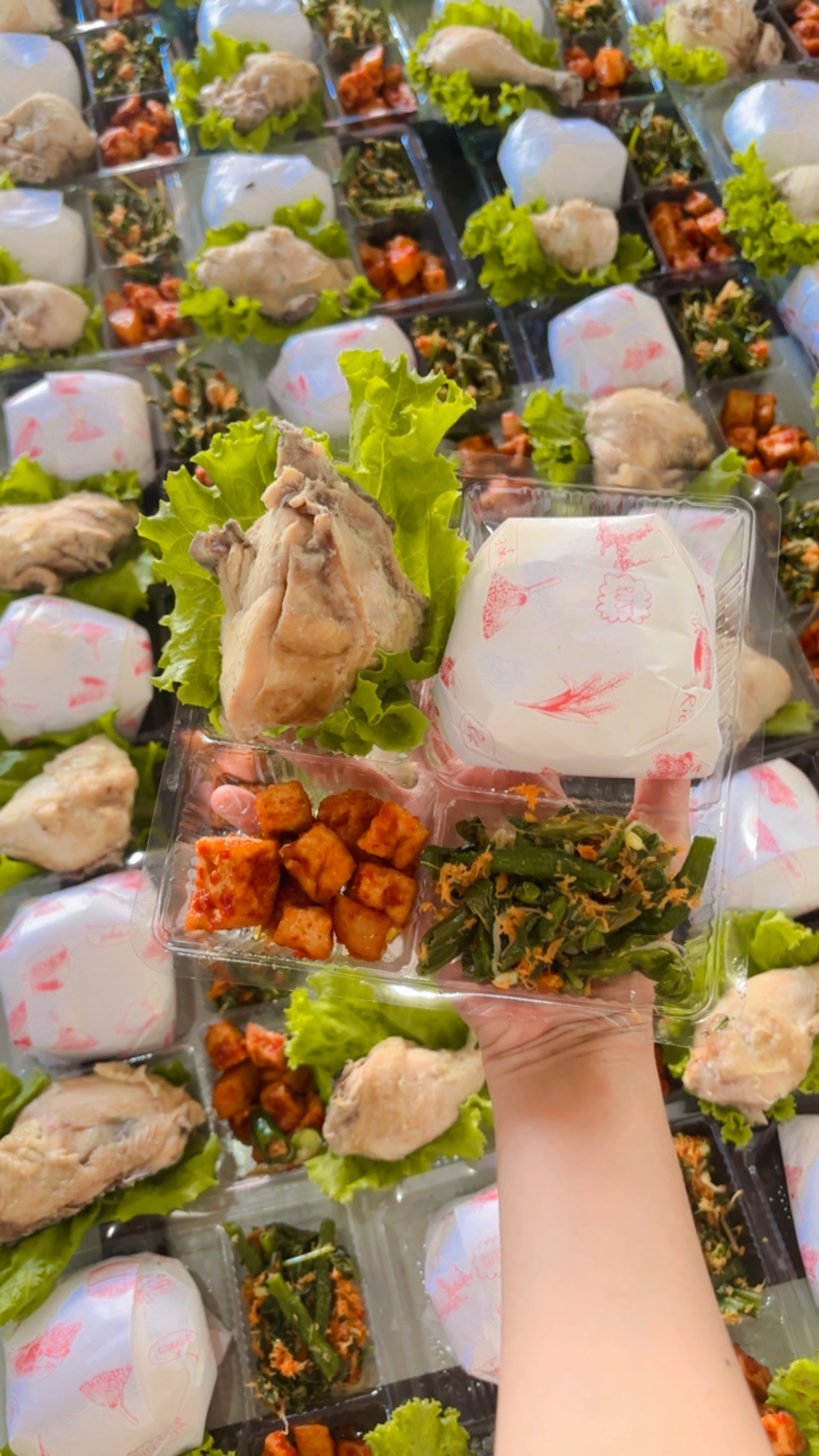 Nasi Kotak