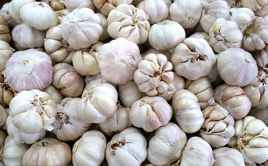 Bawang putih