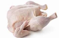 Ayam