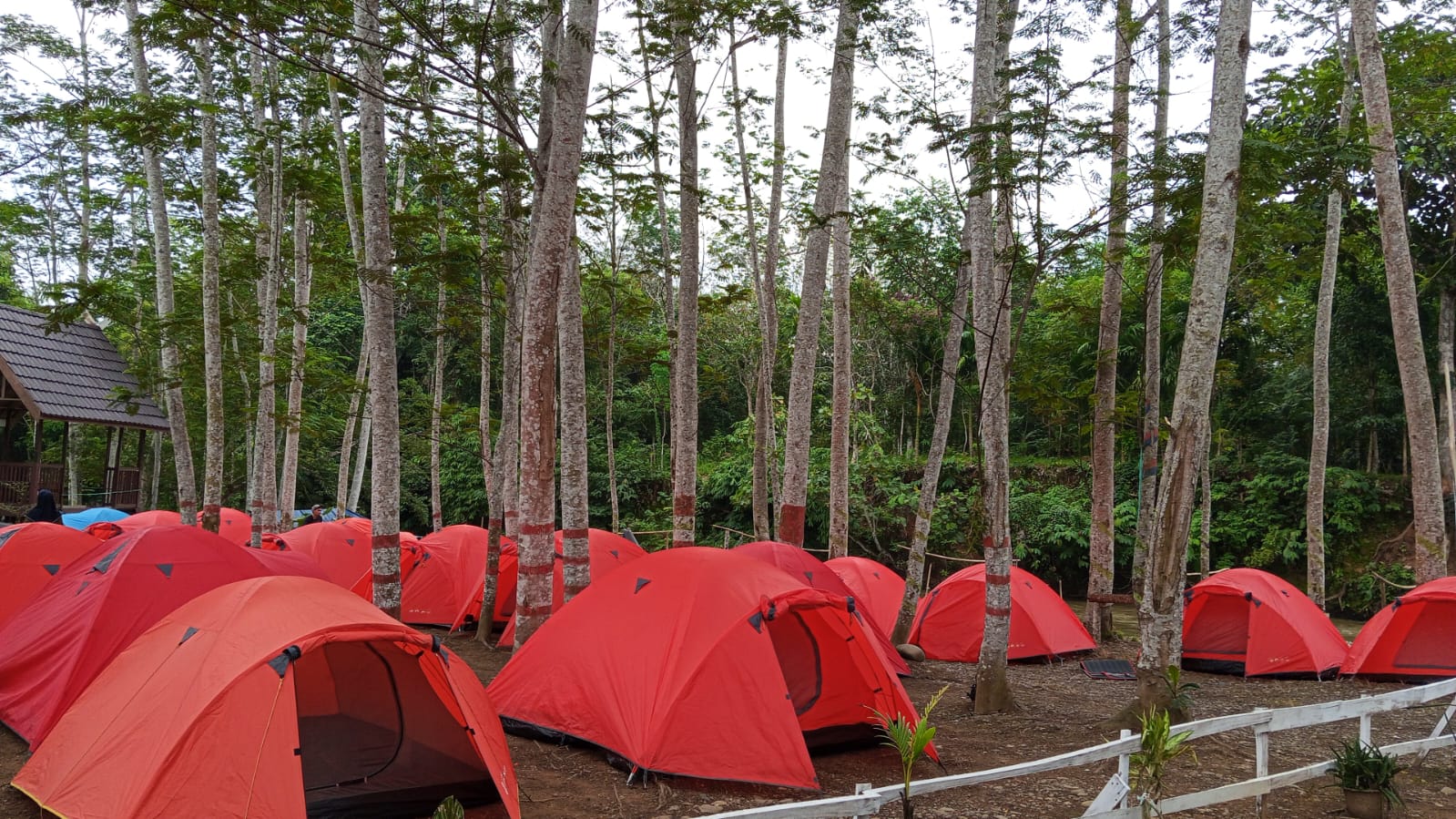 Sewa alat outdoor camping.