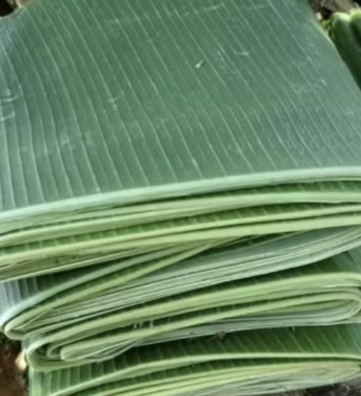 Daun pisang