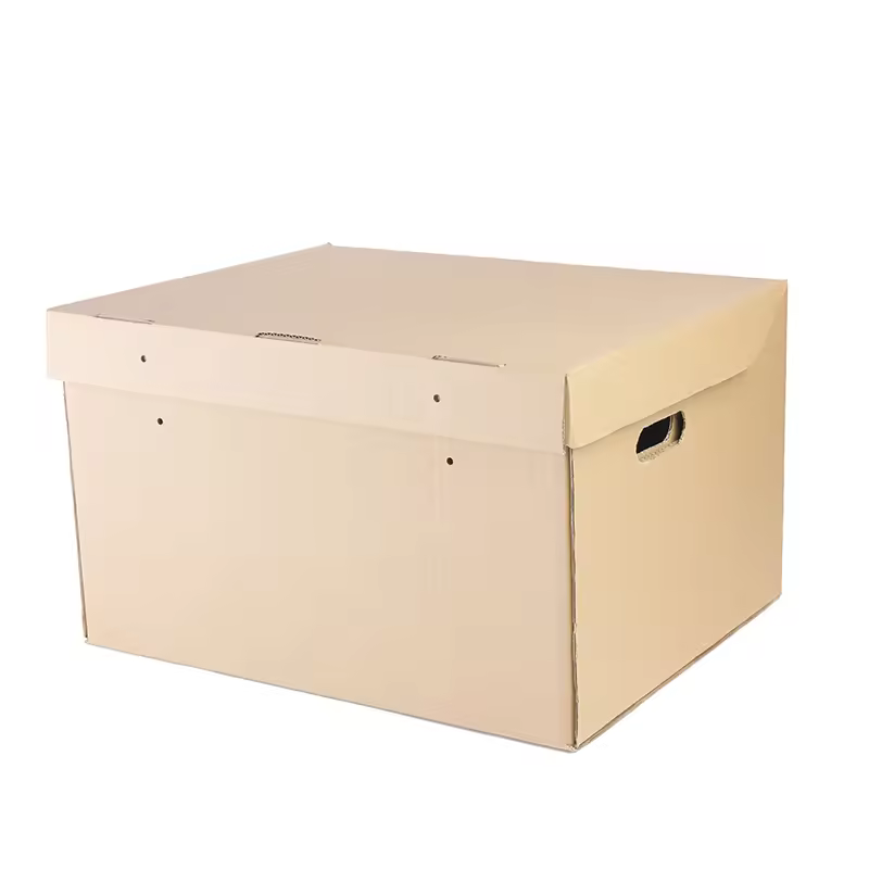 BOX ARSIP