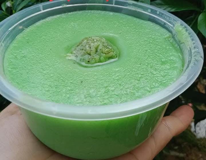 Kue Kayapu Tapai