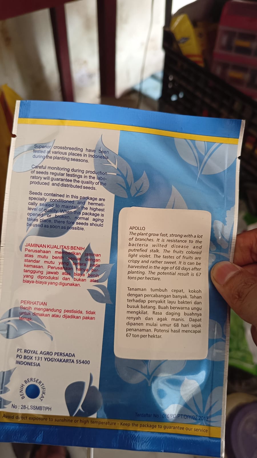 Benih Terong Apollo 5 gram