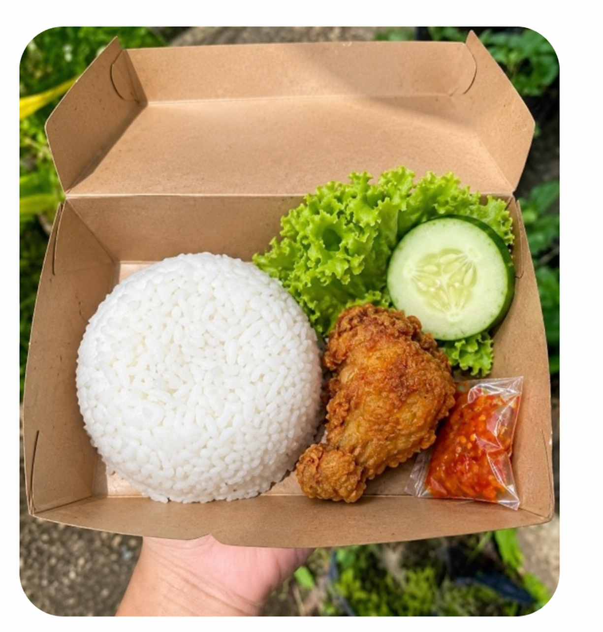 Nasi Kotak Ayam Goreng